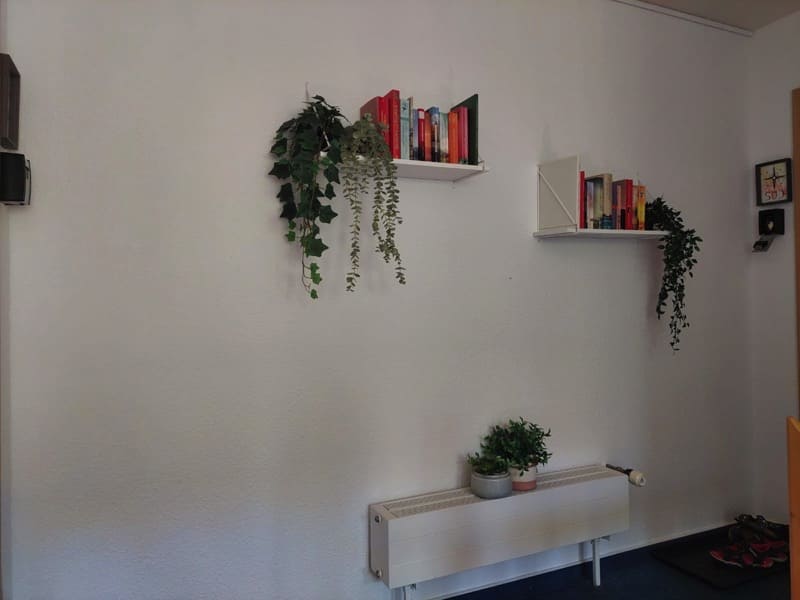 Ferienwohnung Friesenrose Nord