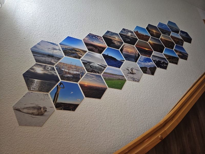 Ferienwohnung Friesenrose Nord