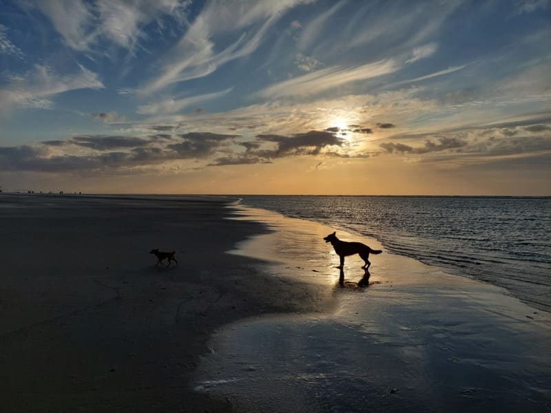 Nordseeinsel Spiekeroog - einfach Urlaub