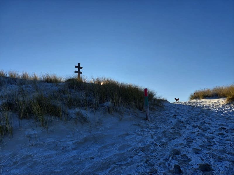 Nordseeinsel Spiekeroog - einfach Urlaub