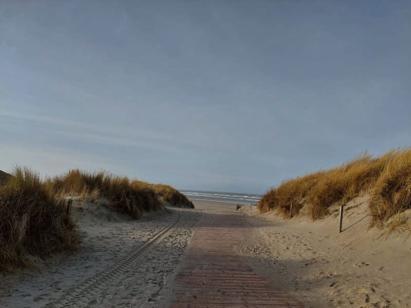 Nordseeinsel Spiekeroog - einfach Urlaub